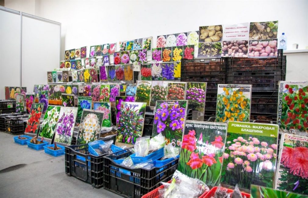 Lors de notre exposition, les visiteurs pourront acheter des produits utiles et de haute qualité pour les chalets d'été et les jardins à des prix abordables et directement auprès du fabricant.