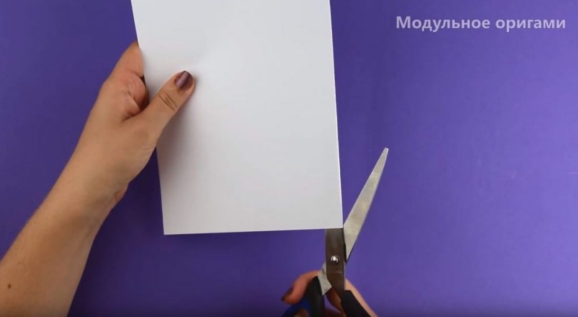 Couper le long du pli