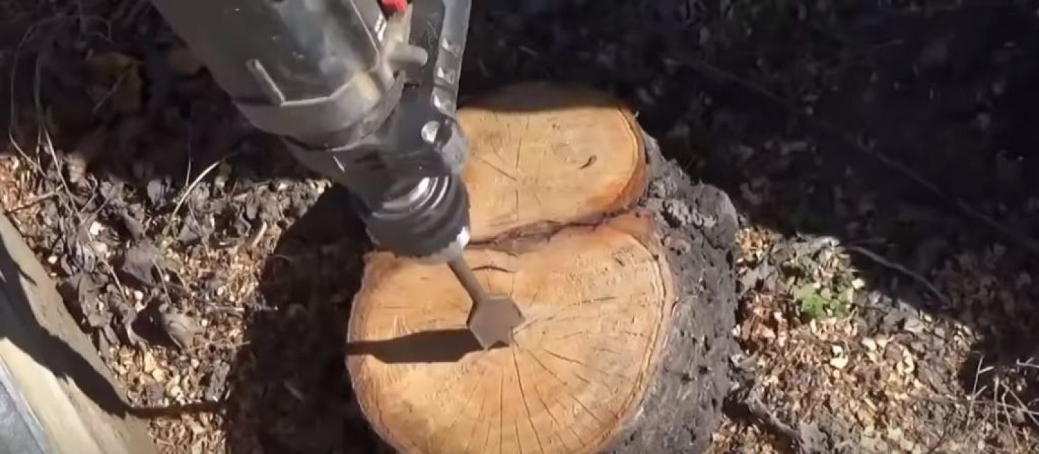 faire un trou dans la souche