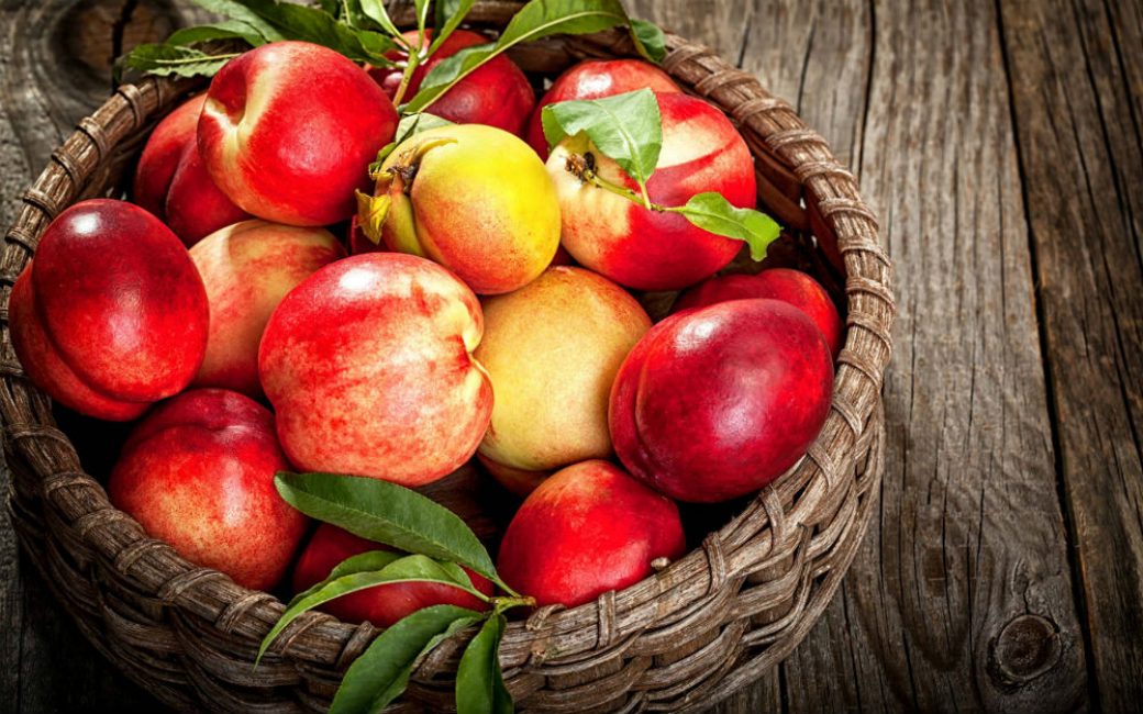 Quelques tranches suffisent pour éliminer de nombreuses manifestations de toxicose