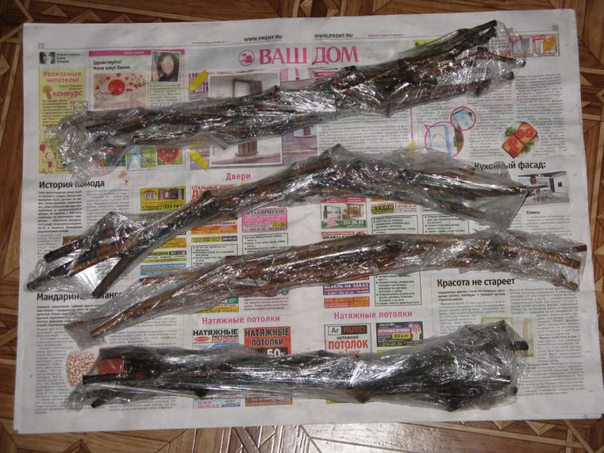 Préparation des boutures pour la conservation au réfrigérateur