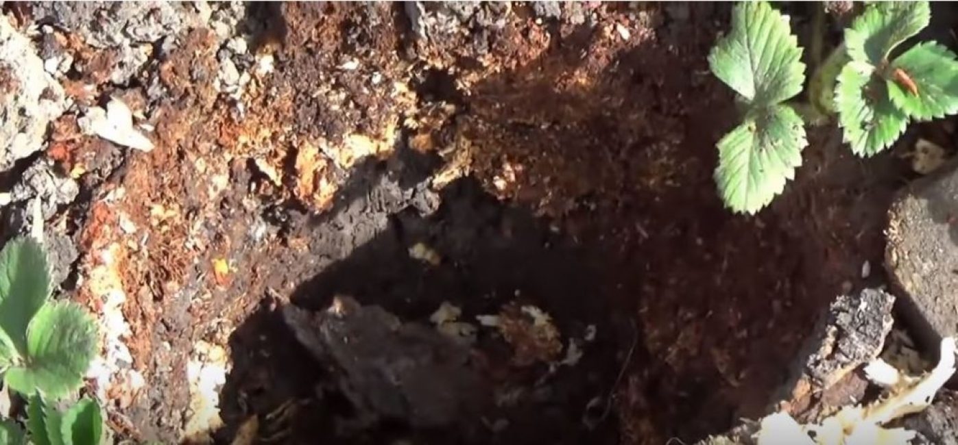 En conséquence, il ne restait qu'un trou, qui doit être recouvert de terre.