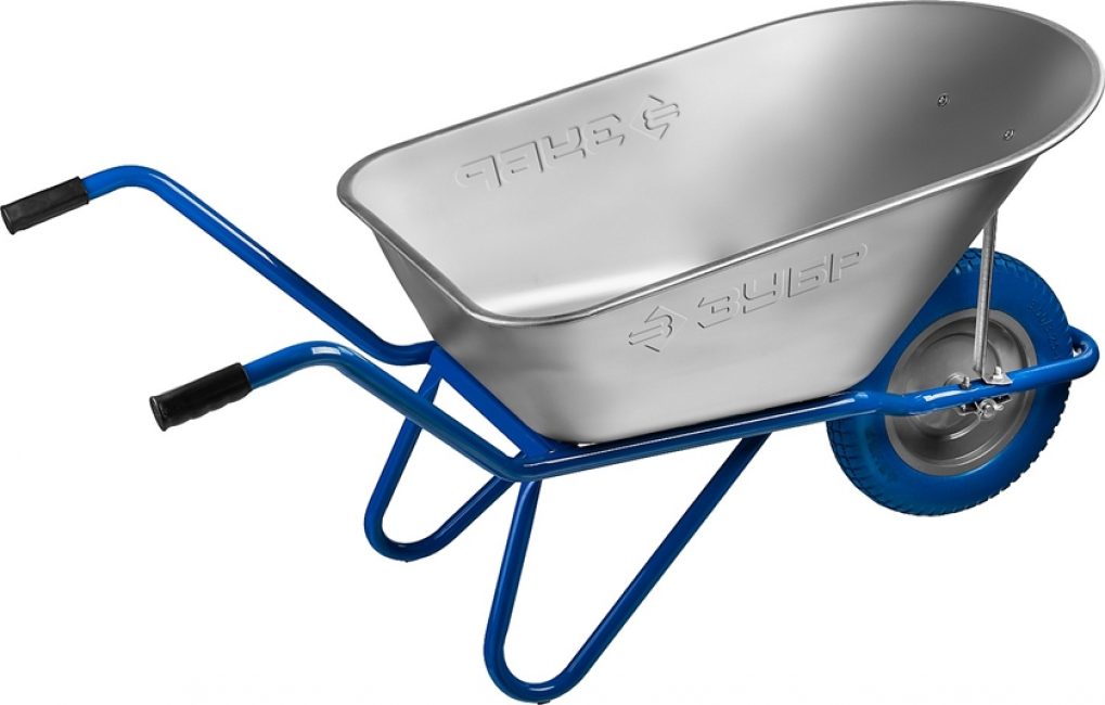 Professionnel du bison