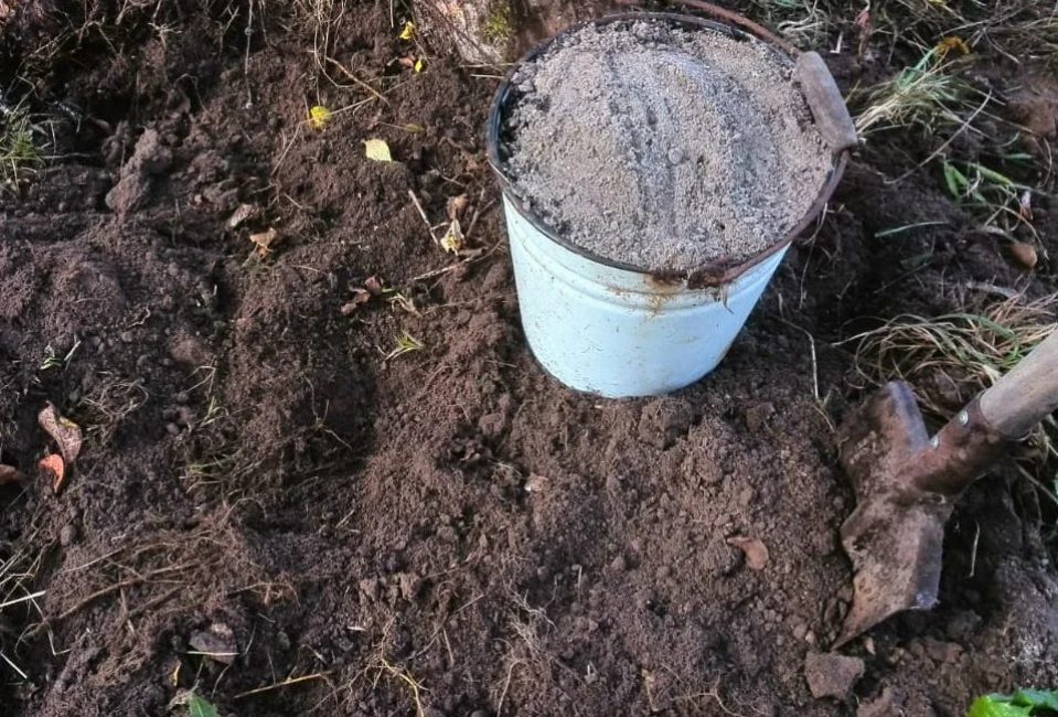 Un seau de cendre de bois suffit pour désoxyder 20 à 25 mètres carrés. m de sol