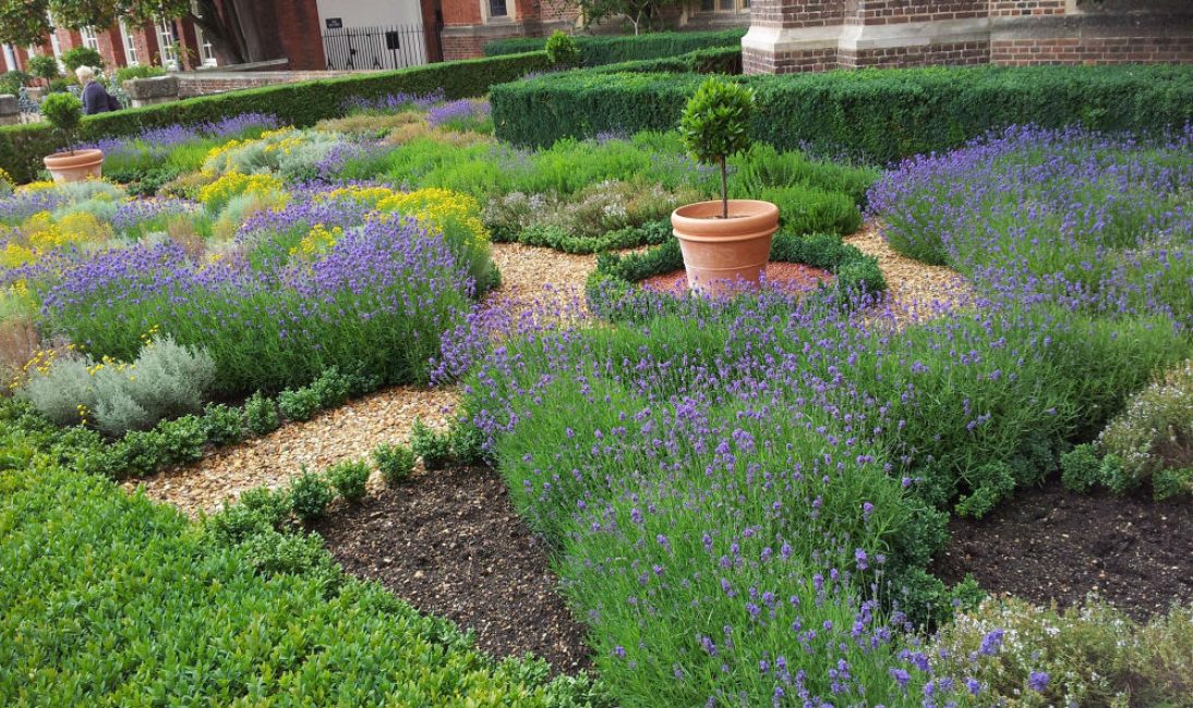 Jardin d'herbes aromatiques