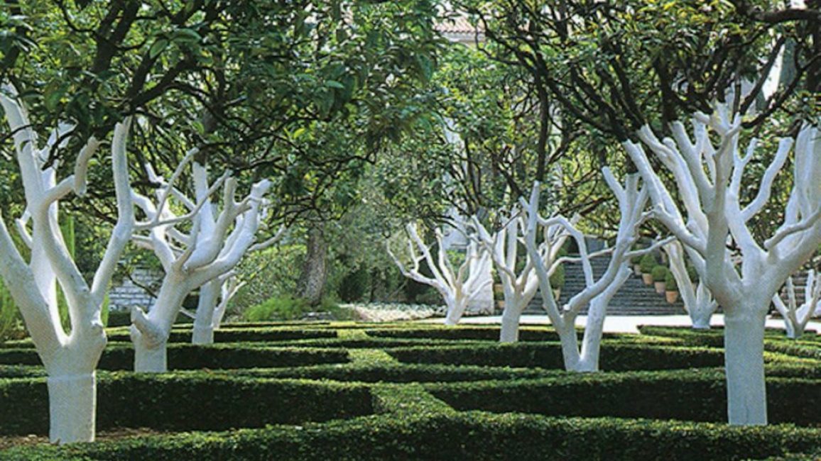 Créer un beau jardin bien entretenu est le rêve de tout jardinier.