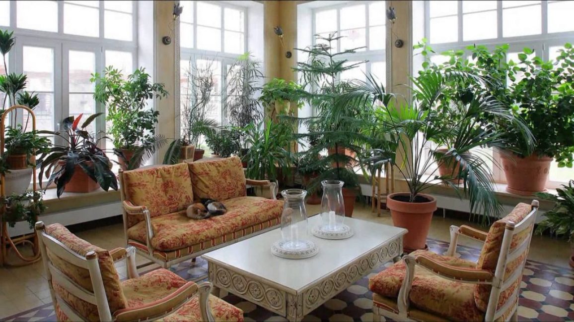 Véranda résidentielle