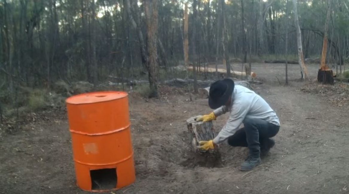 On creuse une vieille souche avec une pelle