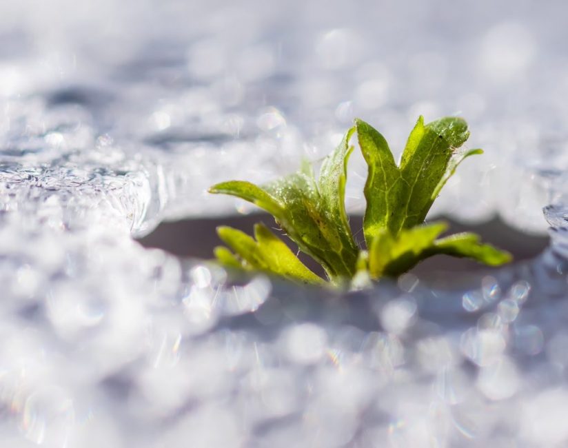 L'eau est source de vie