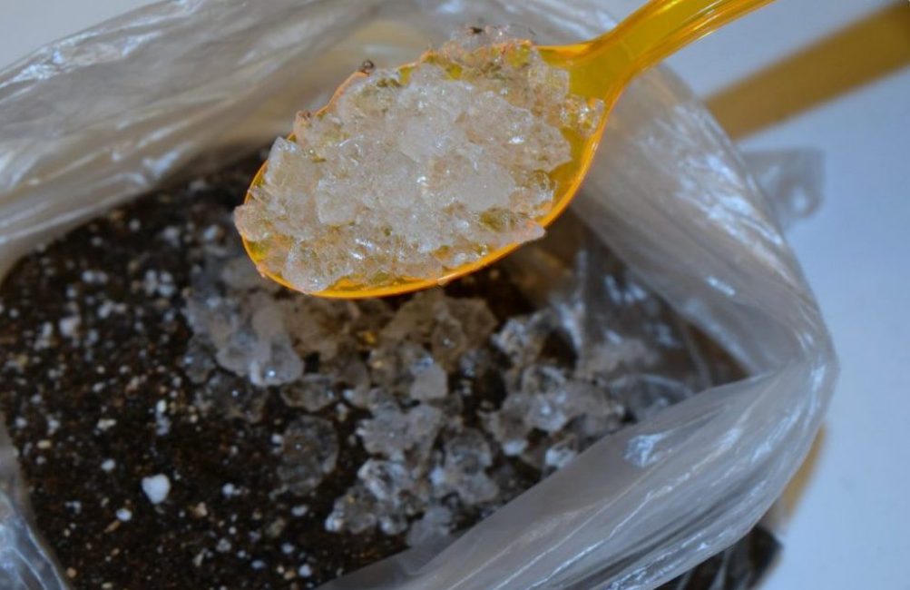 L'hydrogel retient l'humidité dans le sol pendant longtemps