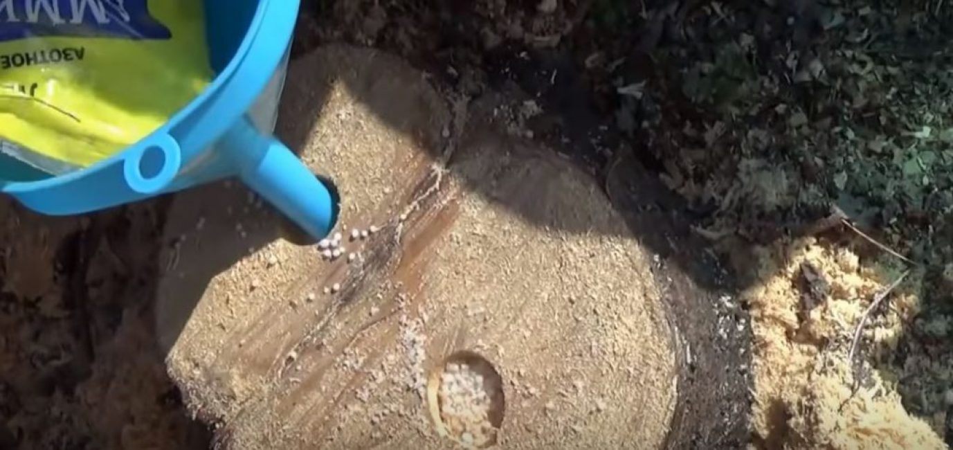 Ajouter plus de salpêtre