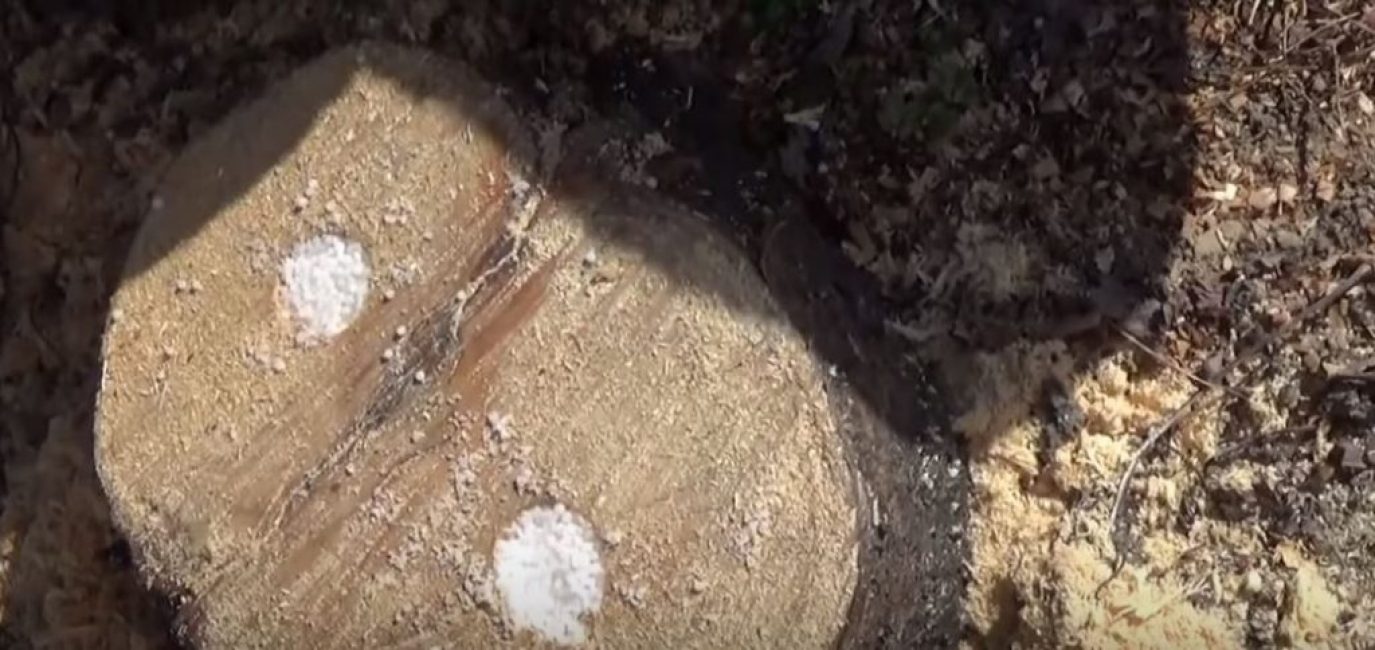 En conséquence, c'est ce que nous avons obtenu