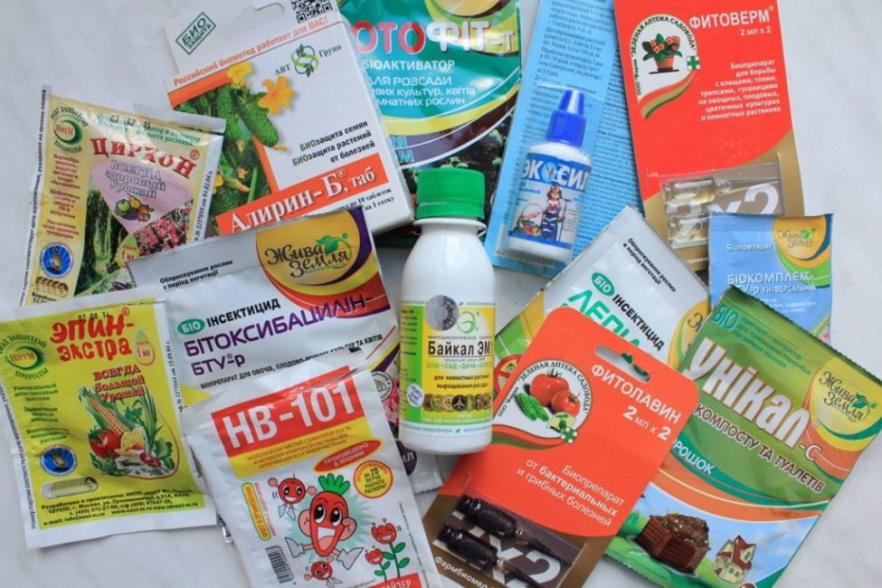 Produits biologiques pour la protection des plantes