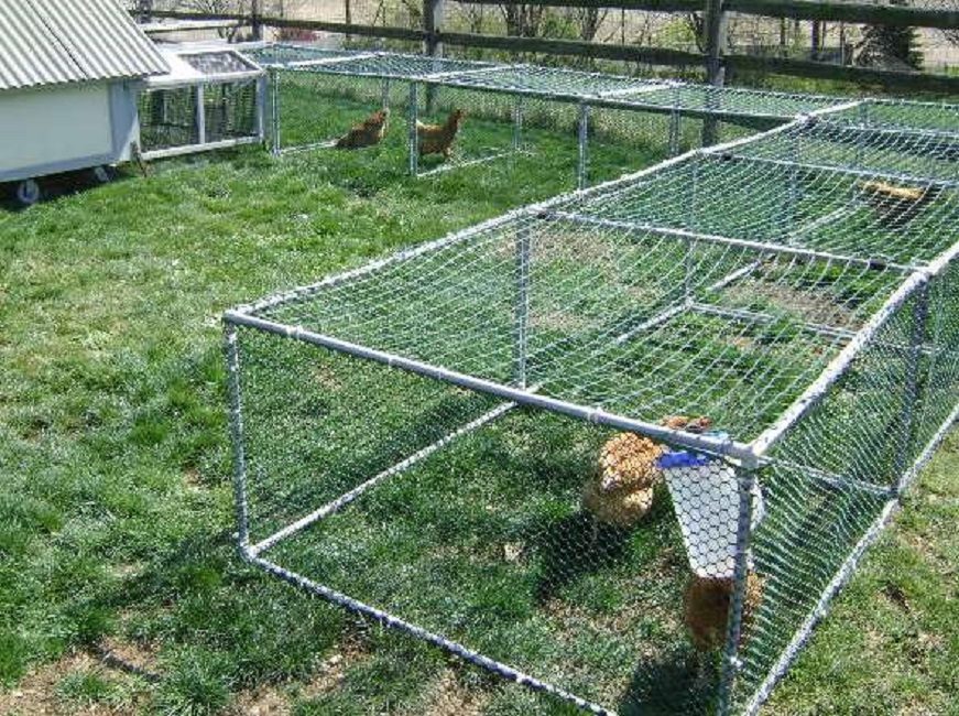 Une partie du paddock