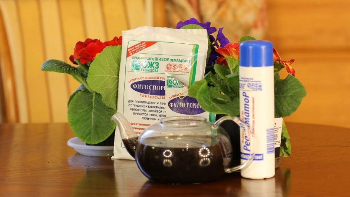 Fitosporin - utilisation dans le jardin et pour les plantes d'intérieur