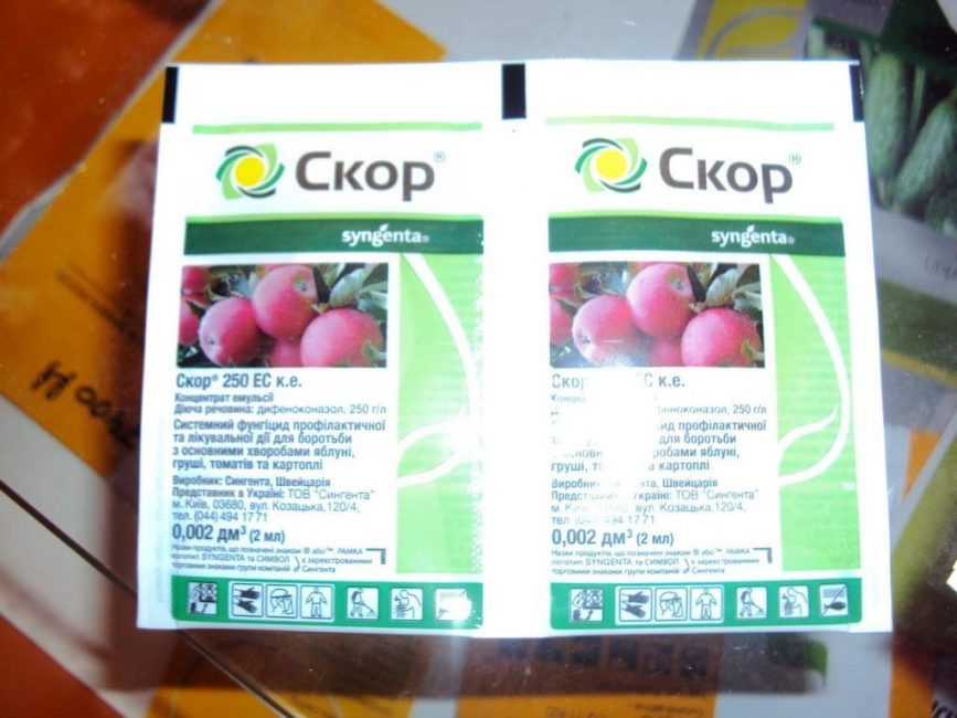 Vitesse du fongicide