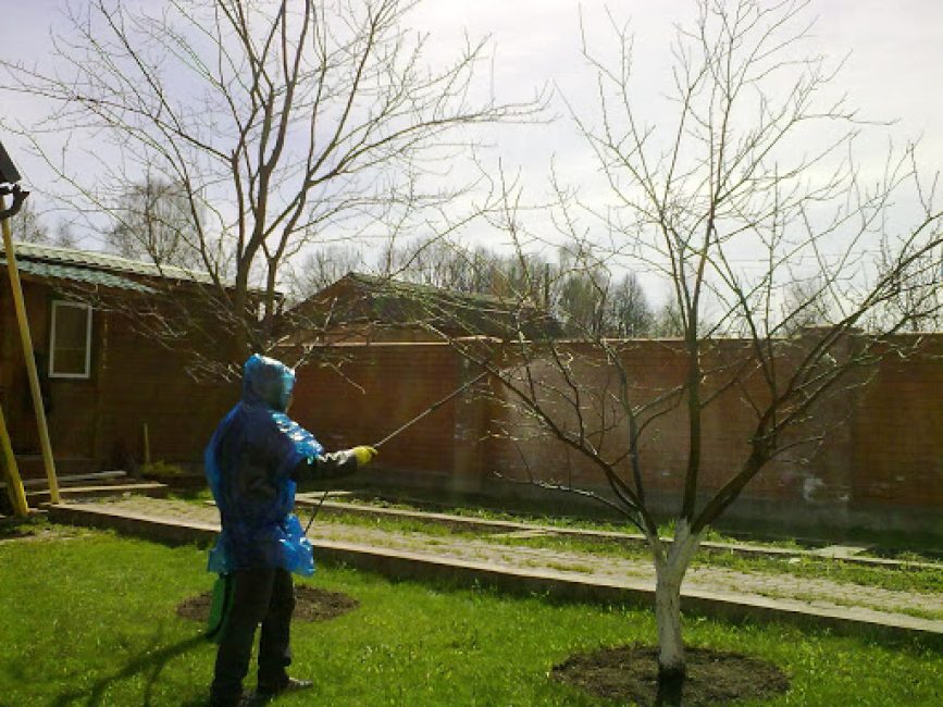 traitement de jardin