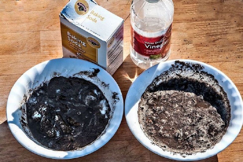 Détermination de l'acidité du sol à l'aide de vinaigre et de soude