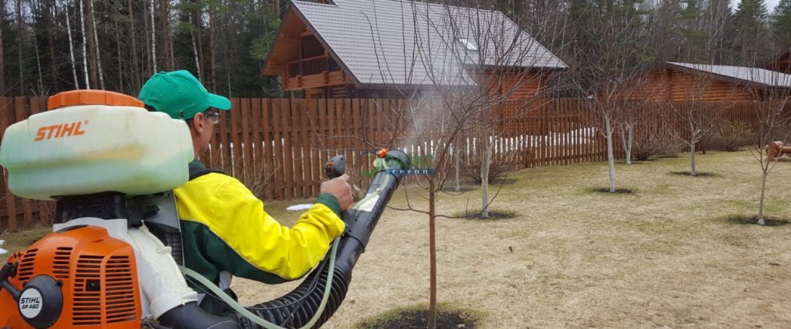 Pulvériser les arbres au printemps