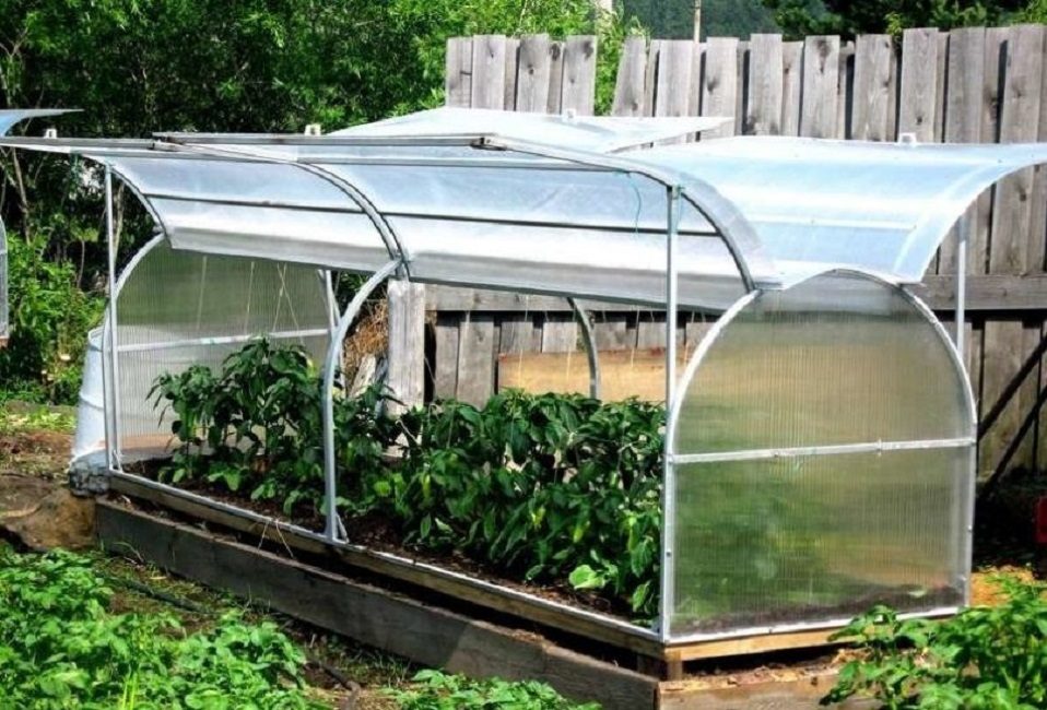 Serre de type papillon - la solution idéale pour une ventilation rapide