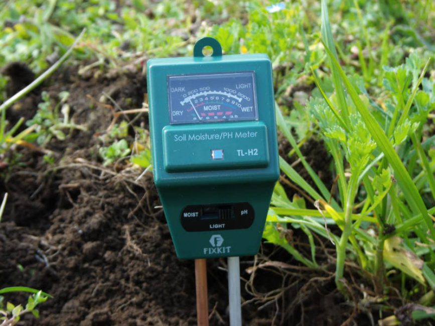 Instrument TL-H2 utilisé pour déterminer l'acidité du sol