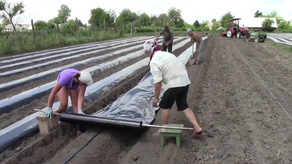 L'utilisation de film sur les lits