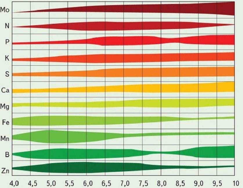 Un graphique approximatif de la disponibilité de la nutrition minérale pour les plantes sur des sols d'acidité différente (plus l'épaisseur est grande, mieux le microélément est absorbé)