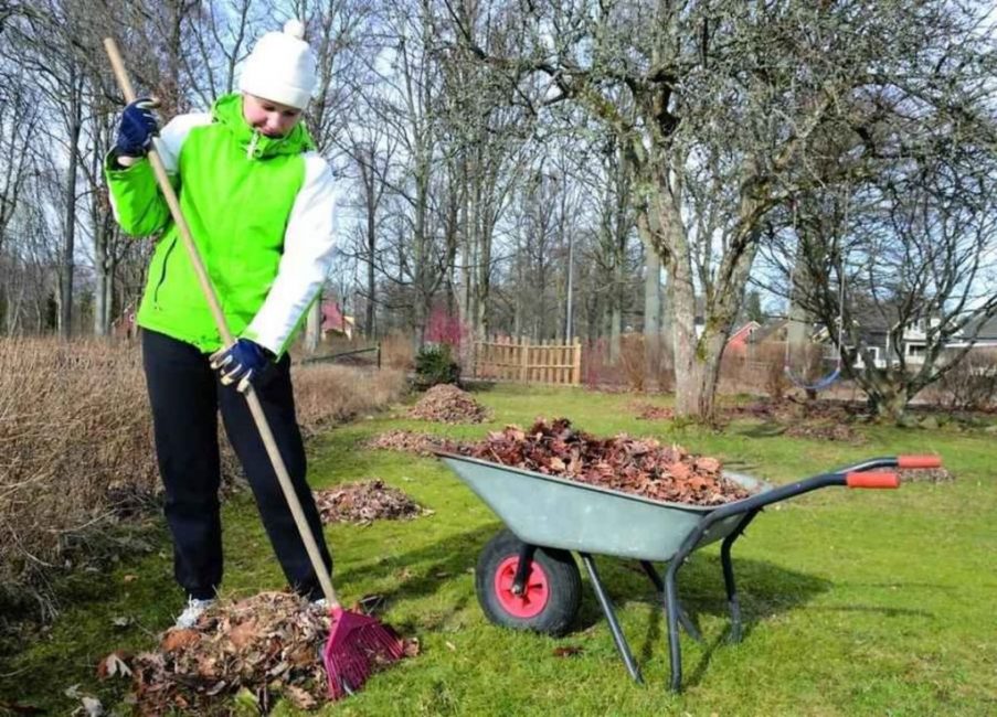 Travaux de jardinage en mars