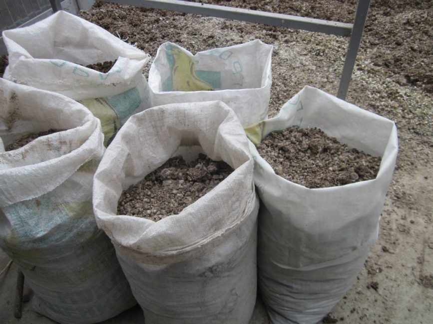 Engrais de fumier de caille