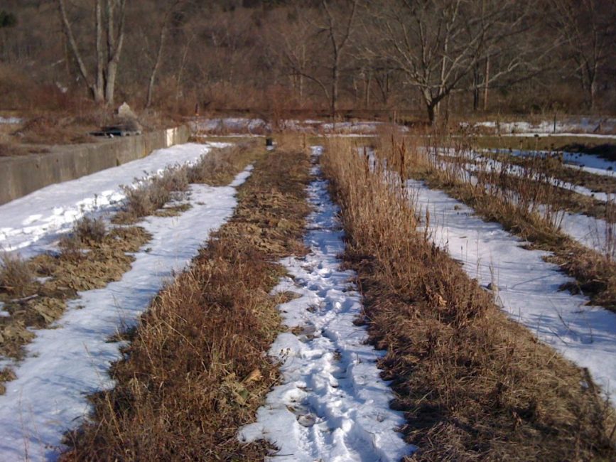Le moment de la fonte des neiges au printemps