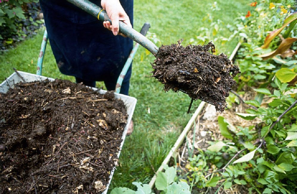 Ajouter du compost aux plates-bandes