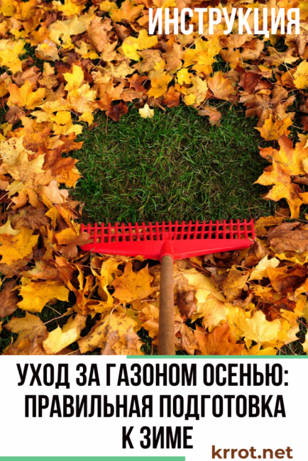 entretien du gazon en automne