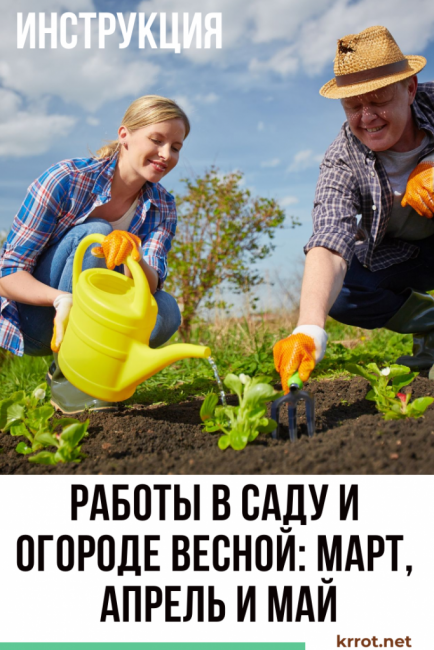 Travaille dans le jardin et le potager au printemps