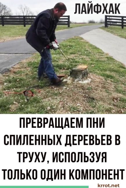 se débarrasser de la souche