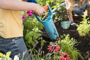 Jardinière à bulbes