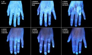 Se laver les mains correctement : Combien faut-il se laver les mains pour se débarrasser des bactéries et des virus ?