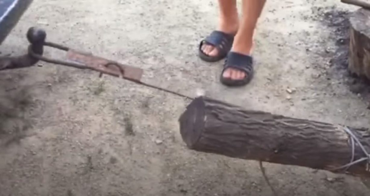 La machine, commençant à bouger, tire le fil à travers la bûche