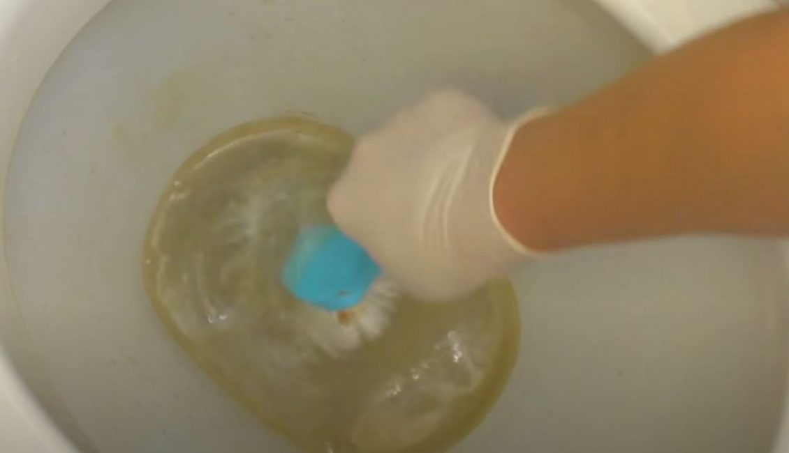 À l'aide d'un pinceau, appliquez-le sur toute la surface de la cuvette des toilettes