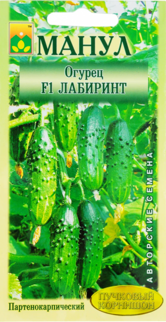 Concombre Labyrinthe F1