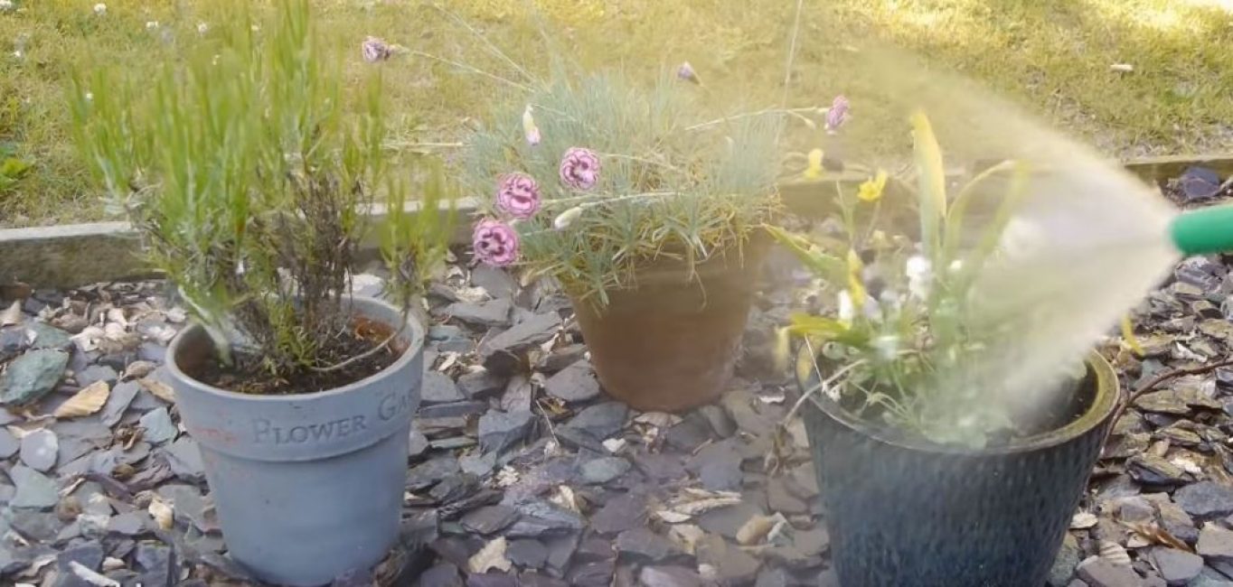 On déroule le tuyau, on ouvre l'eau