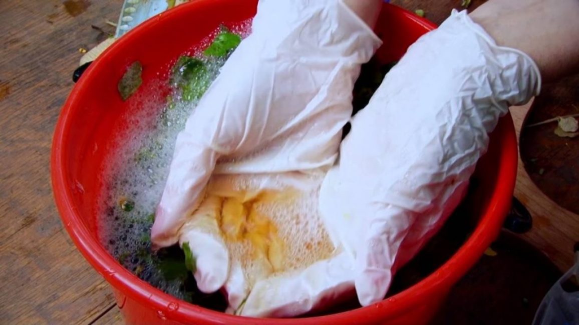 Préparation d'une décoction de chélidoine