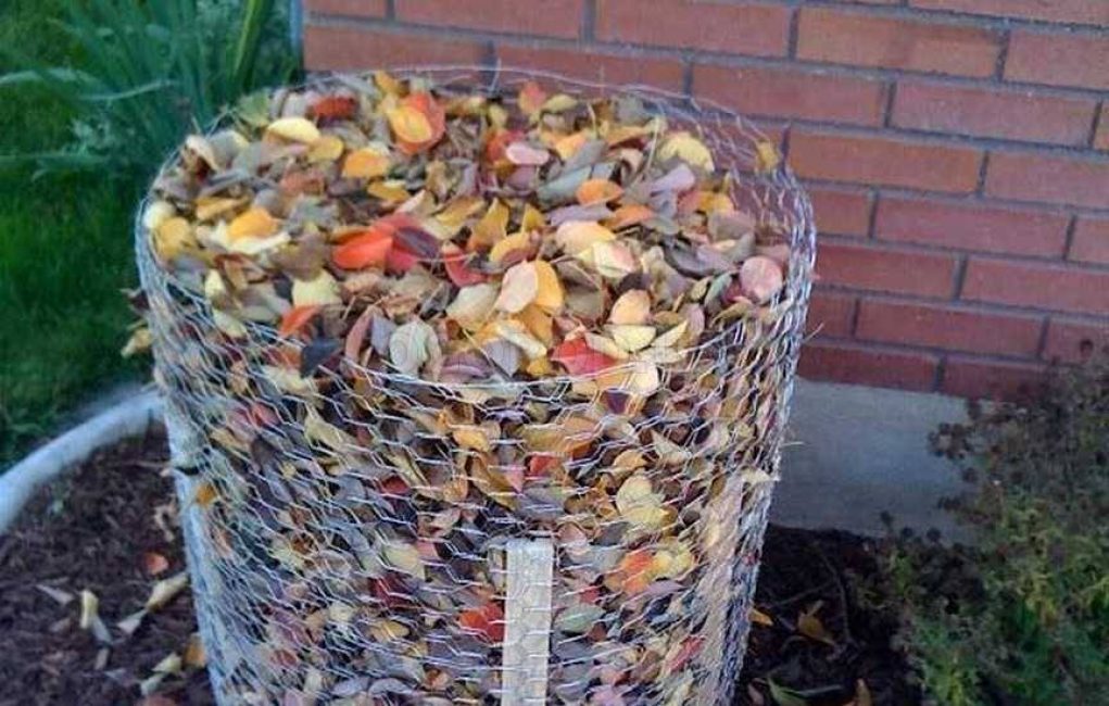 Une plante recouverte de paillis est bien à l'abri du gel.