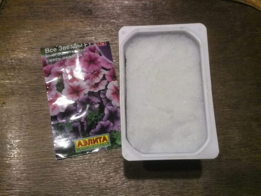 Récipient avec de la terre et de la neige pour semer des graines