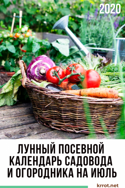 Calendrier lunaire des semis de juillet