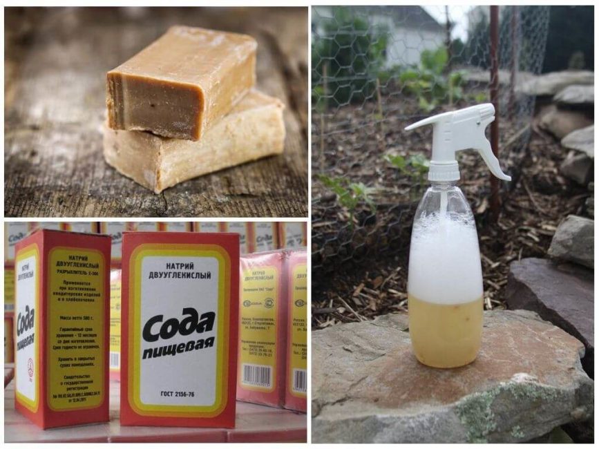 Solution de savon et de soude