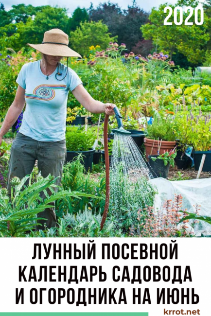 calendrier de semis lunaire 2020 juin