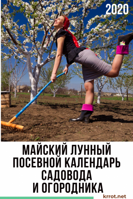 calendrier de semis lunaire 2020 mai