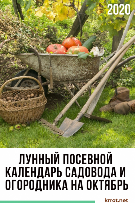 calendrier de semis lunaire octobre