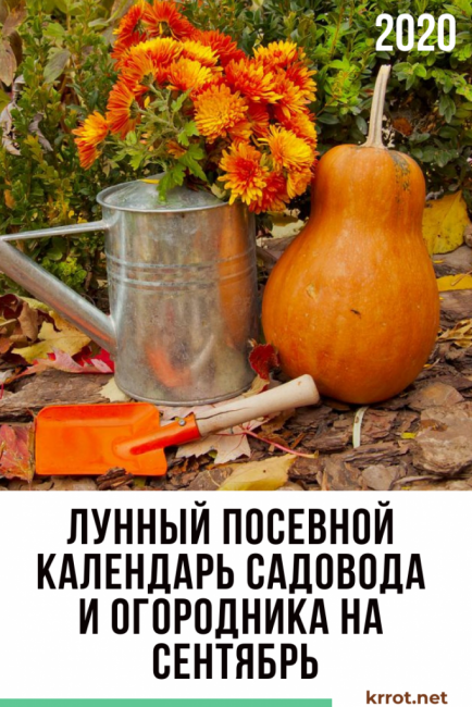 calendrier des semis lunaires de septembre