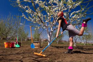 Calendrier lunaire des semis pour le jardinier et le jardinier pour mai 2020